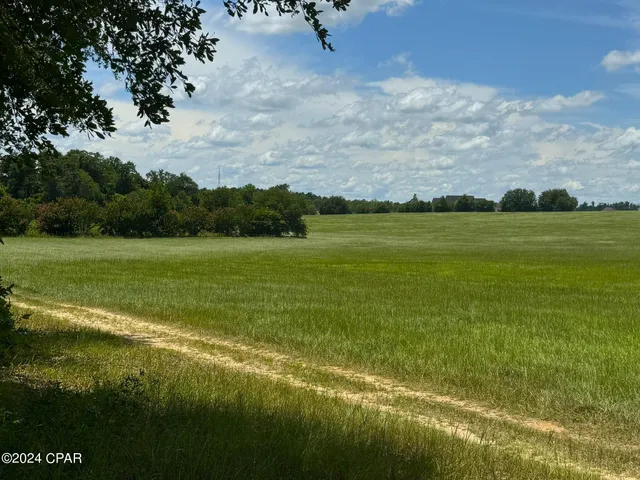 $950,000 | 3361 Old Greenwood Road, Marianna, FL 32446