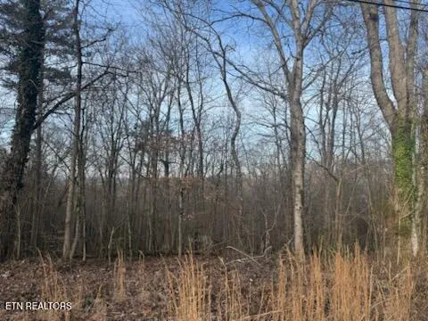 $59,900 | 0 West Ridgecrest Drive, Kingston, TN 37763