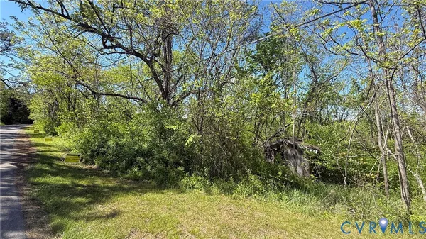$8,250 | 0 Trebark Road, Buchanan, VA 24066