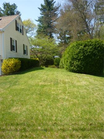 9 Sandberg Road Billerica, MA 01821 - Photo 4 of 23 a view of a backyard with plants and large tree