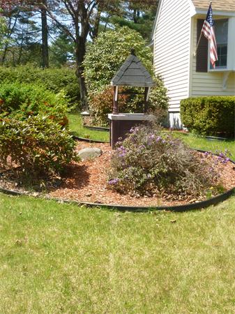 9 Sandberg Road Billerica, MA 01821 - Photo 5 of 23 a view of a backyard