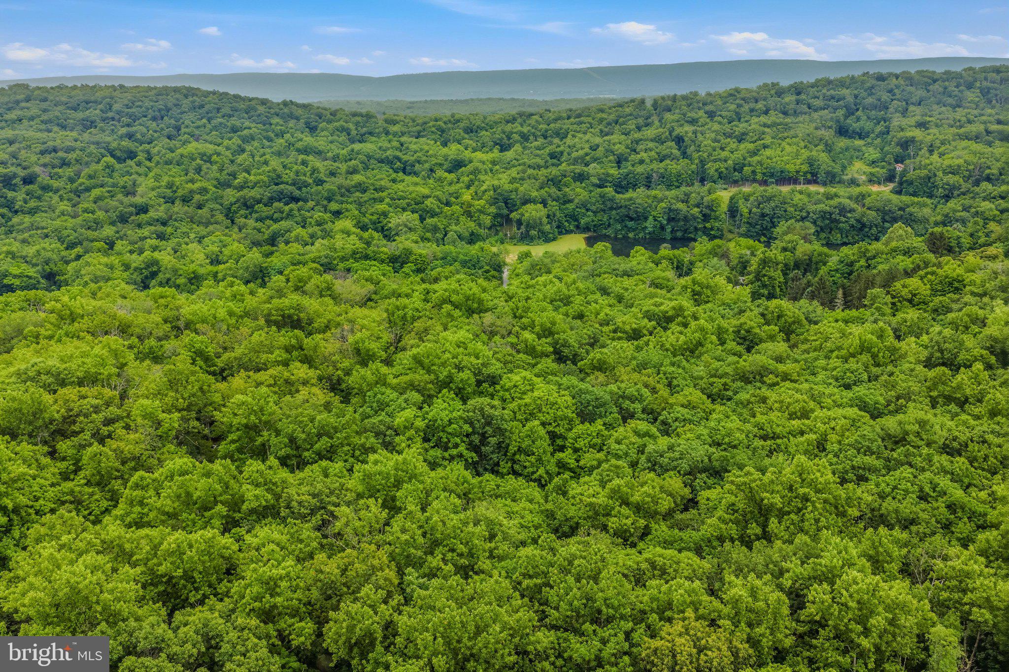 221 Mountainside Road Berkeley Springs, WV 25411 - Photo 37 of 53 Aerial View