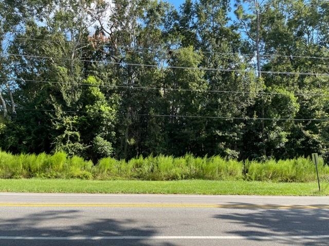 Azalea Avenue Foley, AL 36535 - Photo 1 of 8