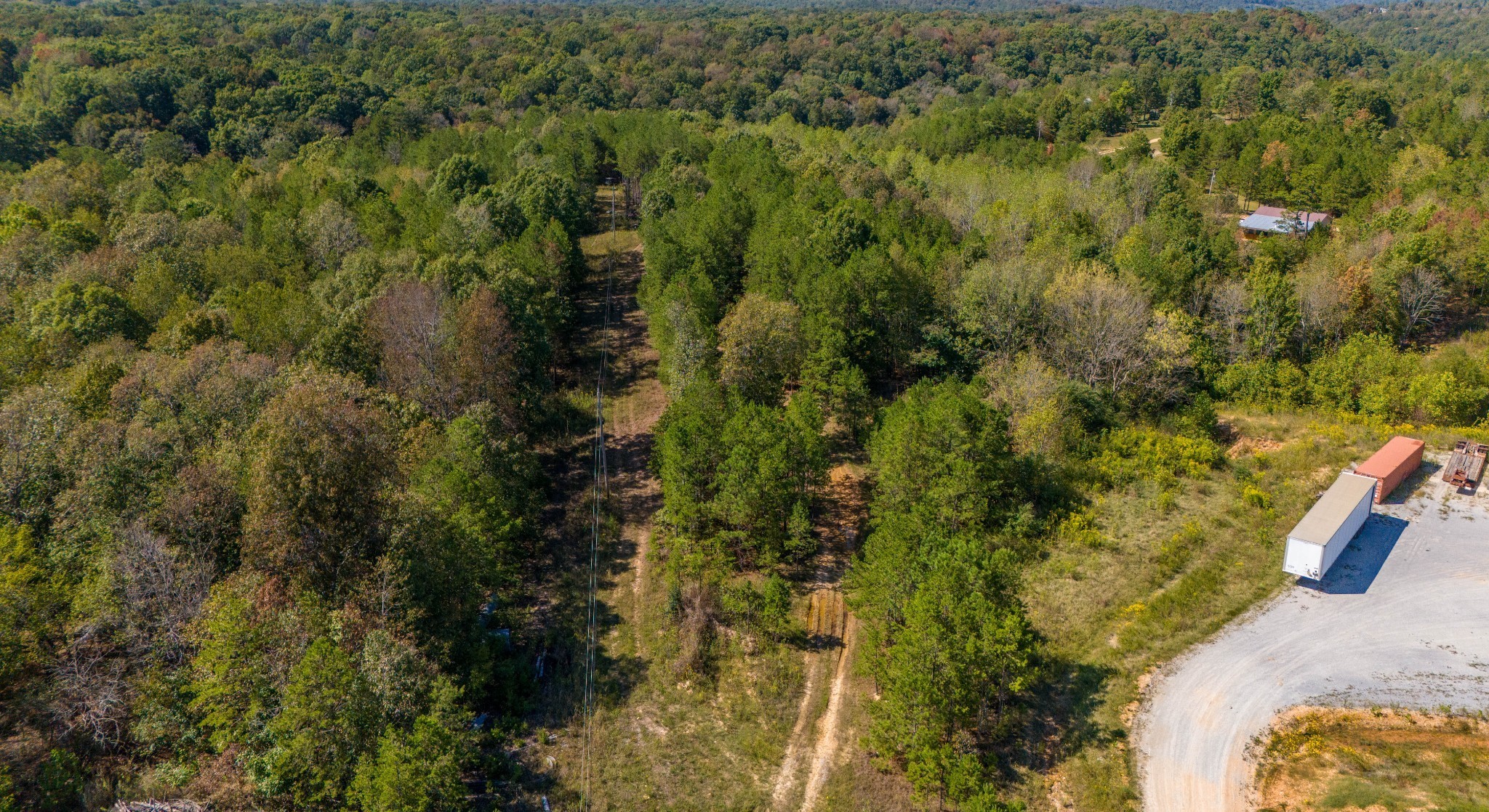 0 Happy Hollow Road Hohenwald, TN 38462 - Photo 12 of 18 a view of a yard with plants and large trees