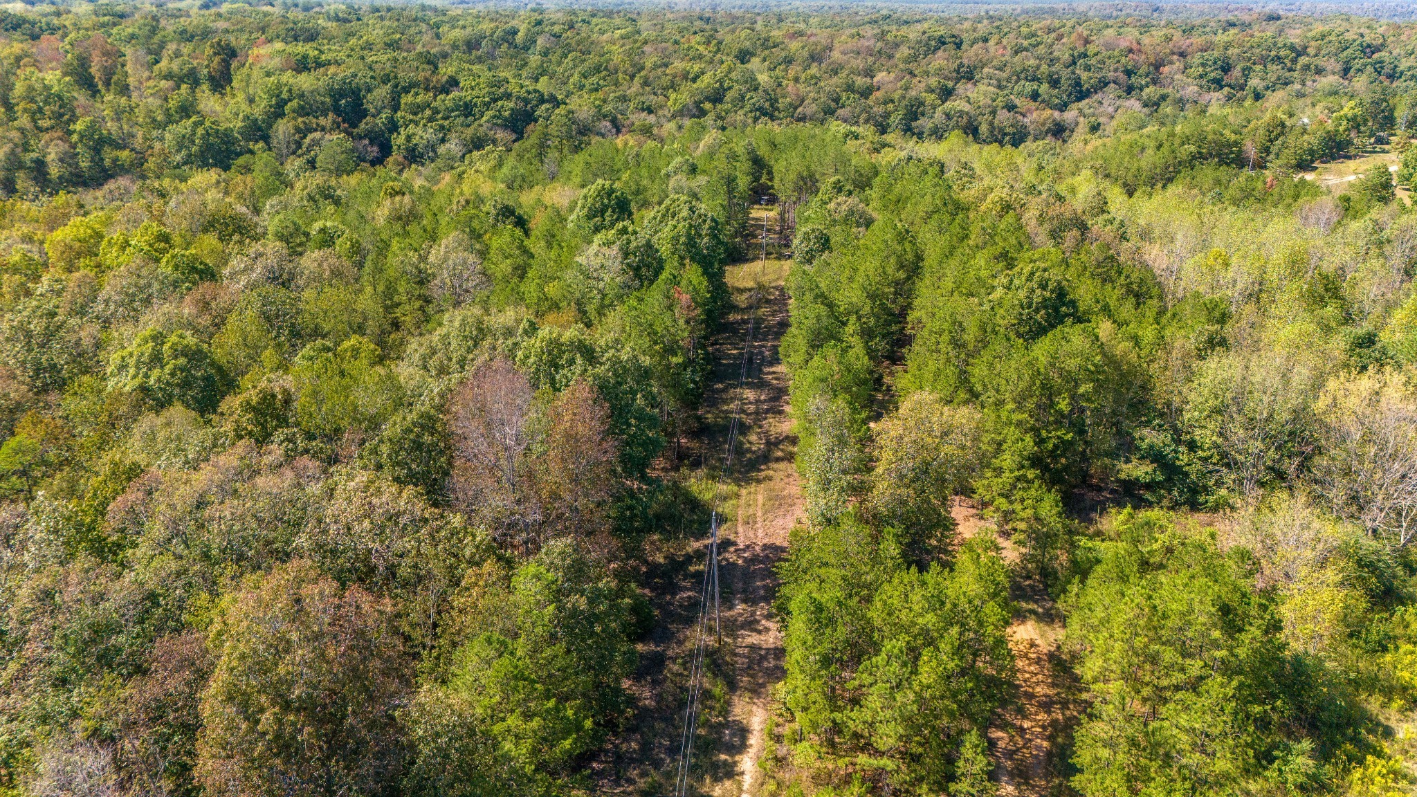 0 Happy Hollow Road Hohenwald, TN 38462 - Photo 13 of 18 a view of a yard