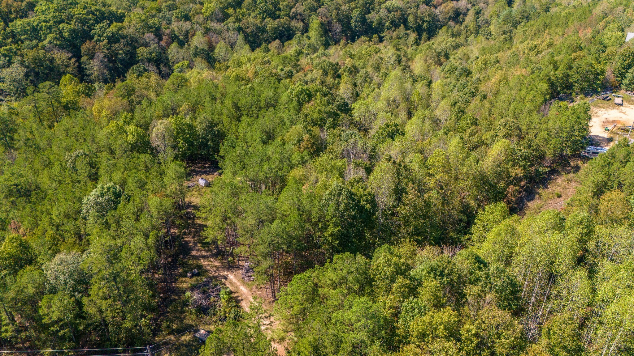 0 Happy Hollow Road Hohenwald, TN 38462 - Photo 18 of 18 a view of a forest with a tree