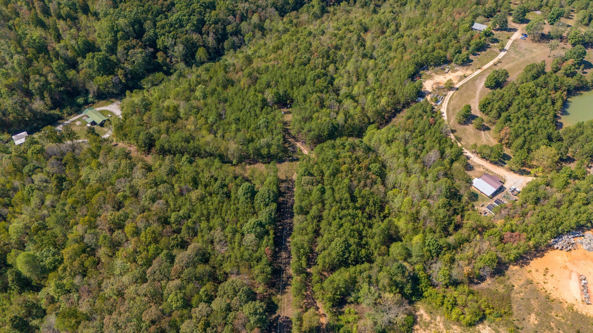 0 Happy Hollow Road Hohenwald, TN 38462 - Photo 3 of 18 a view of a forest with a tree