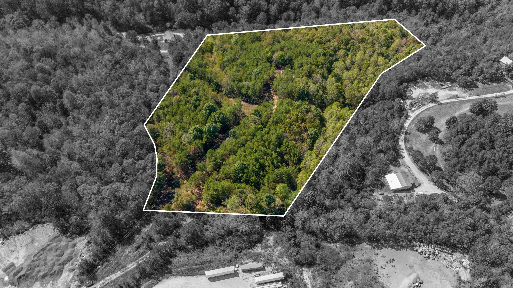 0 Happy Hollow Road Hohenwald, TN 38462 - Photo 4 of 18 a view of a yard