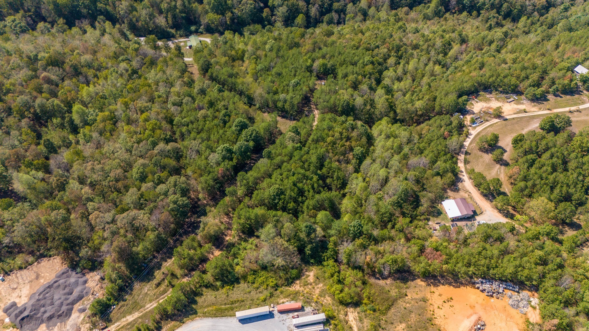 0 Happy Hollow Road Hohenwald, TN 38462 - Photo 5 of 18 a view of a yard with plants