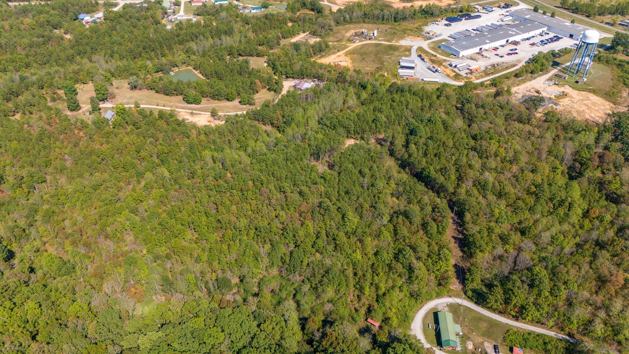0 Happy Hollow Road Hohenwald, TN 38462 - Photo 8 of 18 a view of a tree with a yard