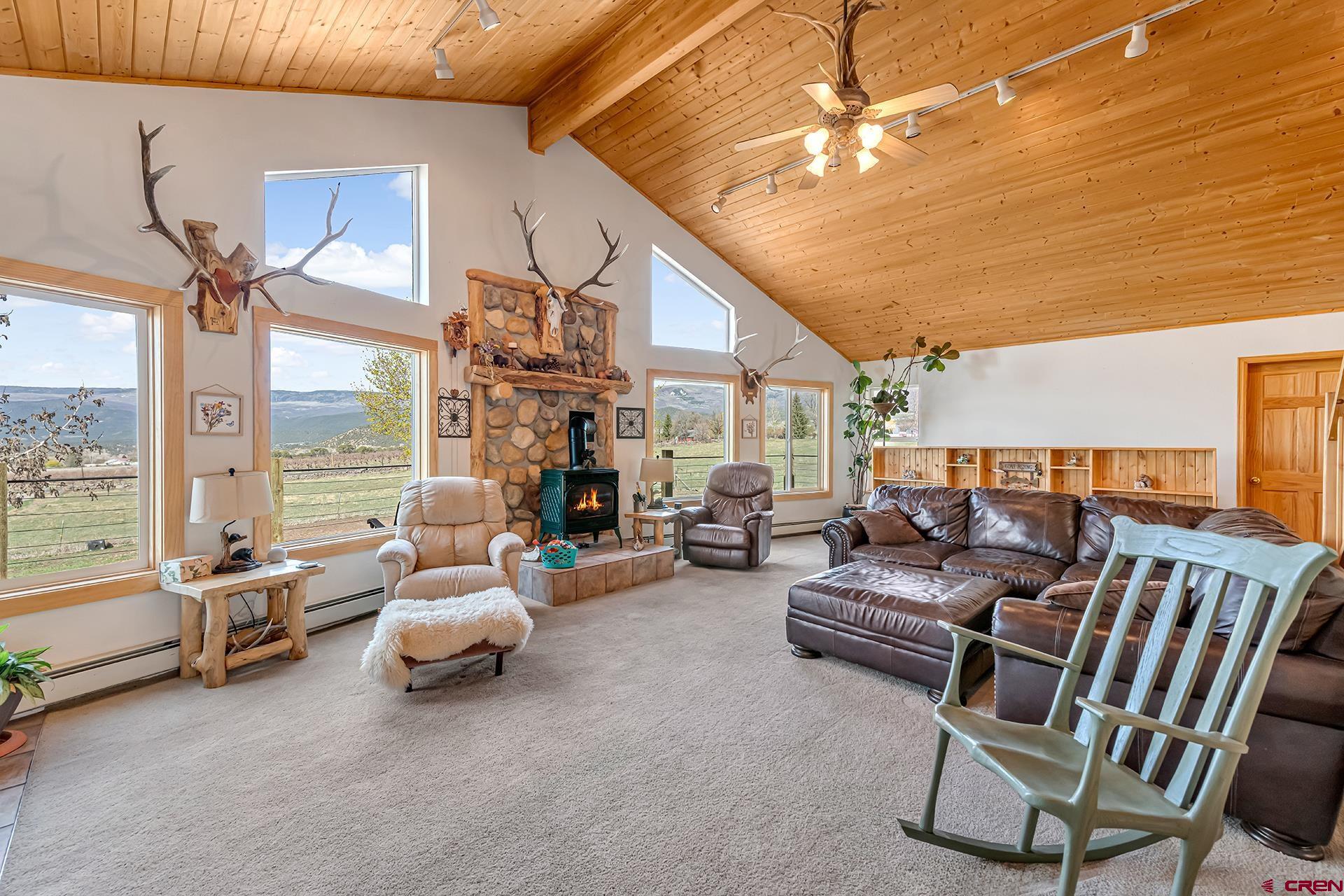 19122 2325th Road Cedaredge, CO 81413 - Photo 17 of 45 a living room with furniture and a fireplace