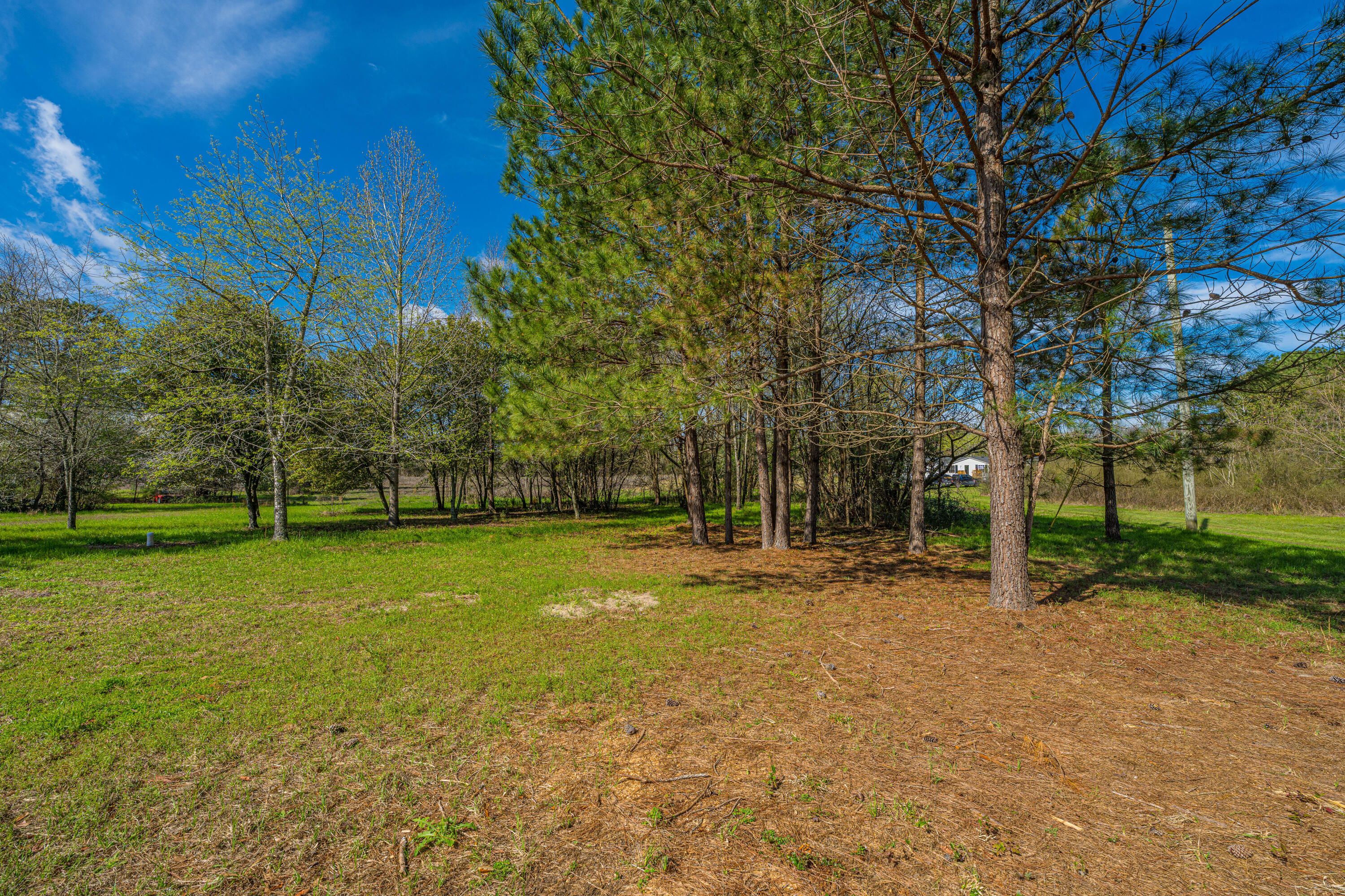 268 Rodeo Drive Eutawville, SC 29048 - Photo 46 of 83 268RodeoDr035