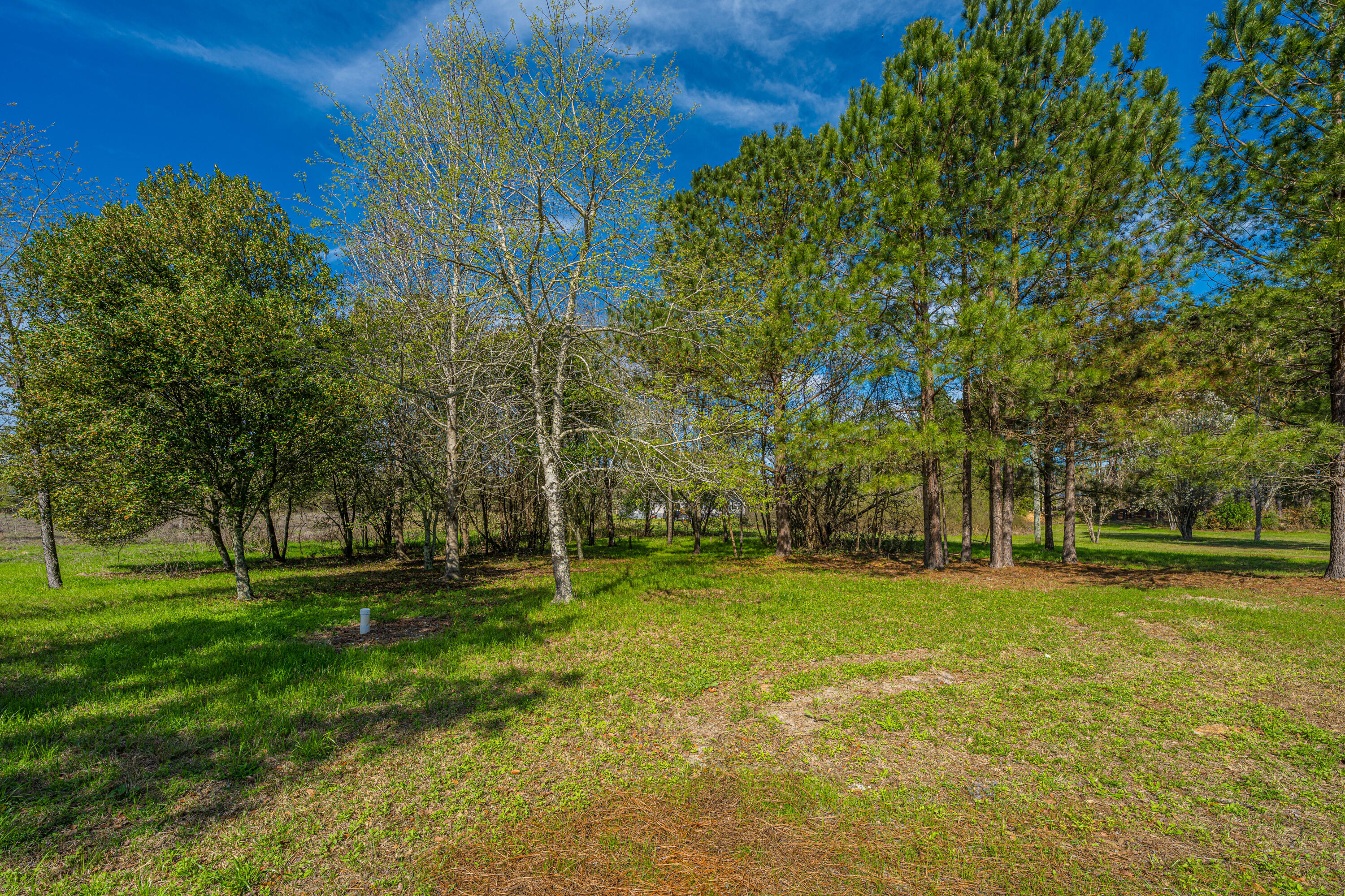 268 Rodeo Drive Eutawville, SC 29048 - Photo 6 of 83 268RodeoDr036