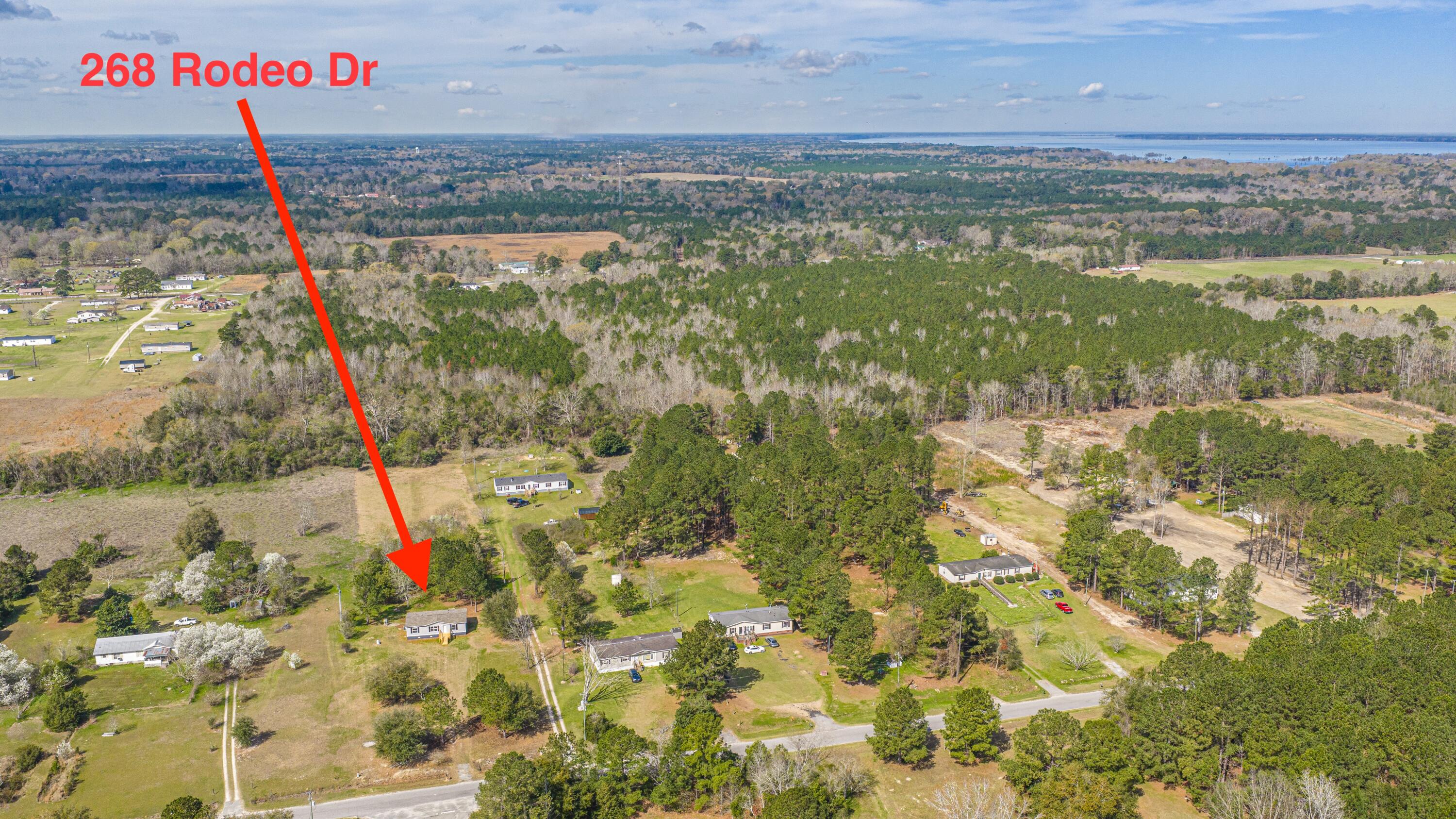 268 Rodeo Drive Eutawville, SC 29048 - Photo 67 of 83 268RodeoDr049