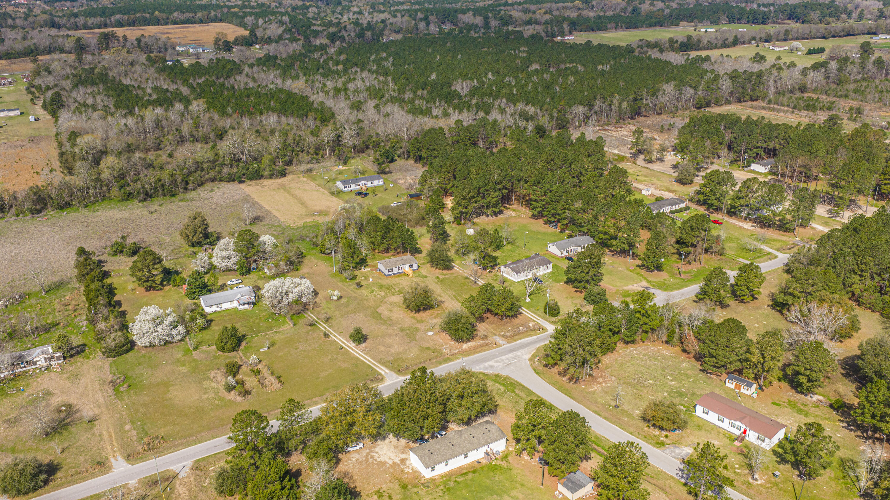 268 Rodeo Drive Eutawville, SC 29048 - Photo 70 of 83 268RodeoDr052