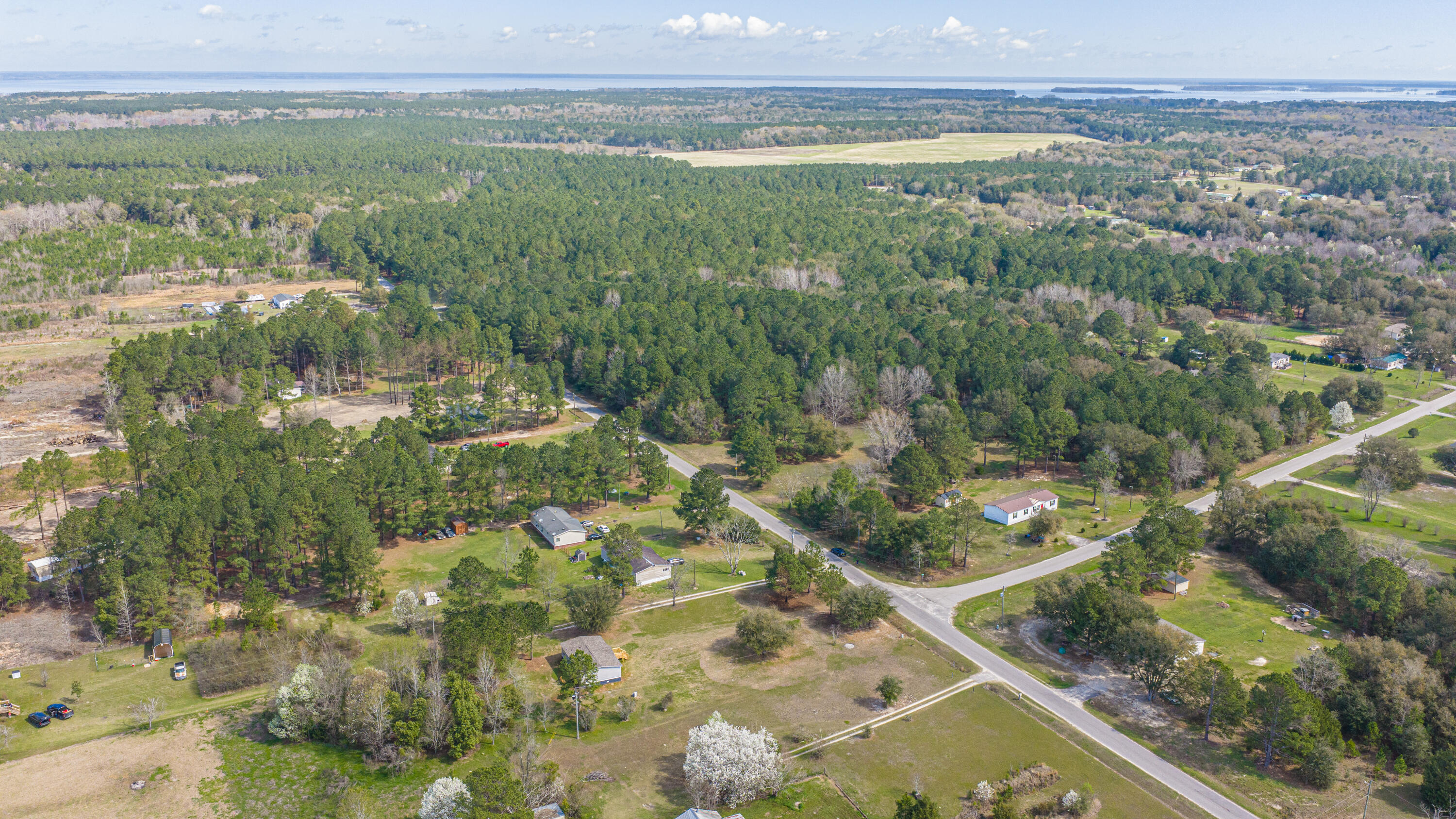 268 Rodeo Drive Eutawville, SC 29048 - Photo 76 of 83 268RodeoDr062