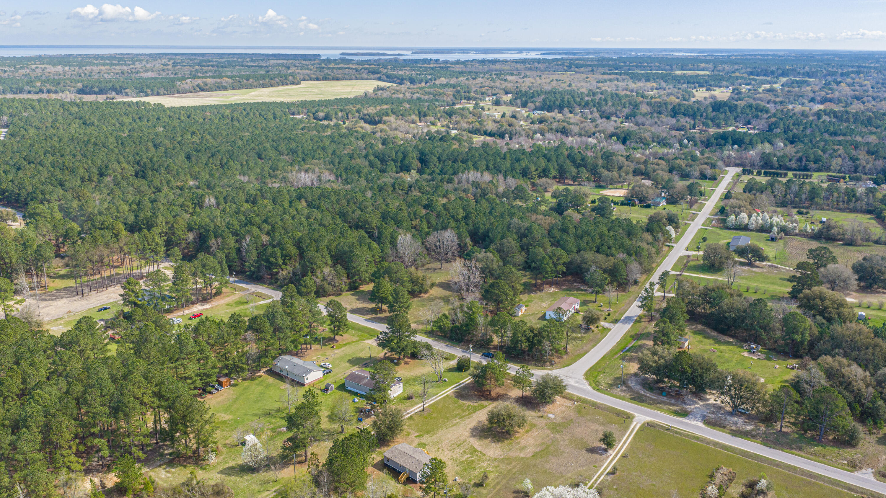 268 Rodeo Drive Eutawville, SC 29048 - Photo 77 of 83 268RodeoDr063