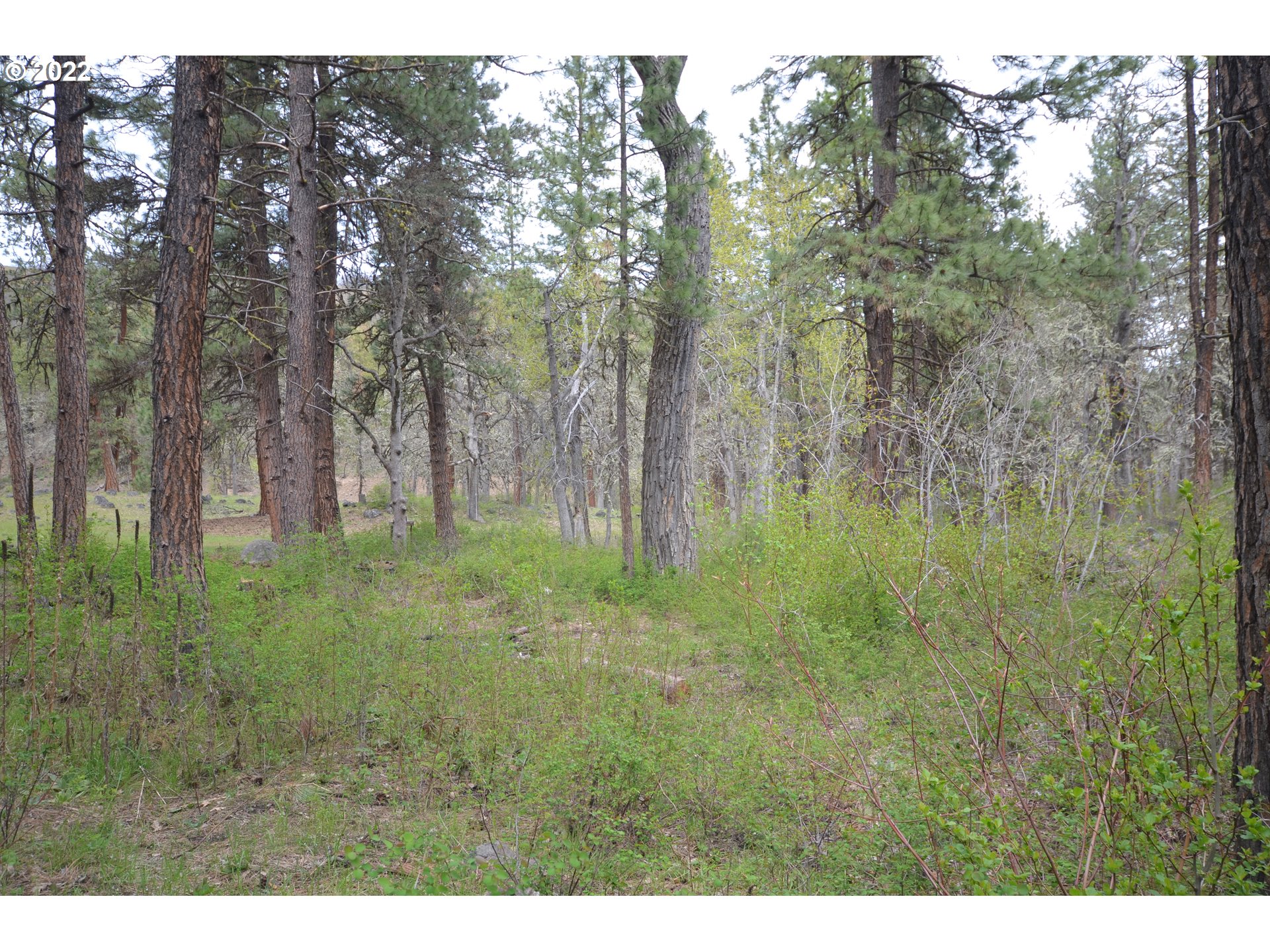 6900 5 Mile Road The Dalles, OR 97058 - Photo 17 of 28 Gallery Image 17