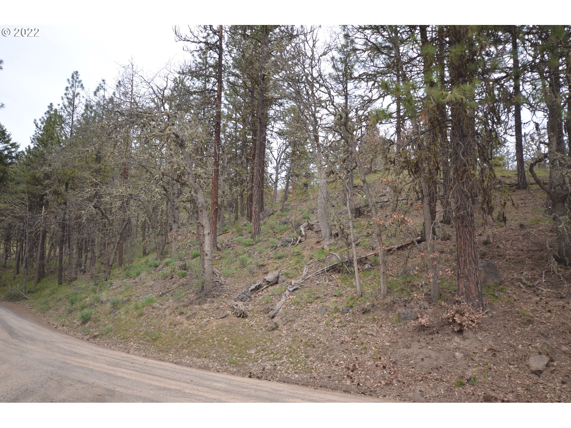 6900 5 Mile Road The Dalles, OR 97058 - Photo 27 of 28 Gallery Image 27