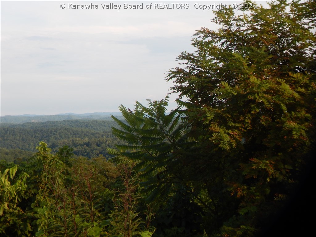 0 Sumerco Sumerco, WV 25567 - Photo 4 of 11 Gallery Image 4