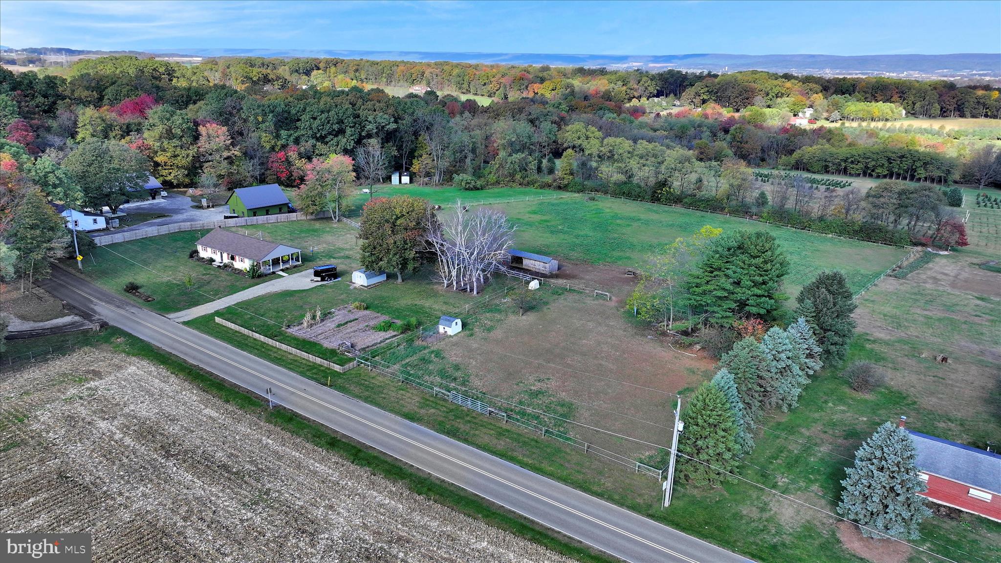 a view of a garden with a yard