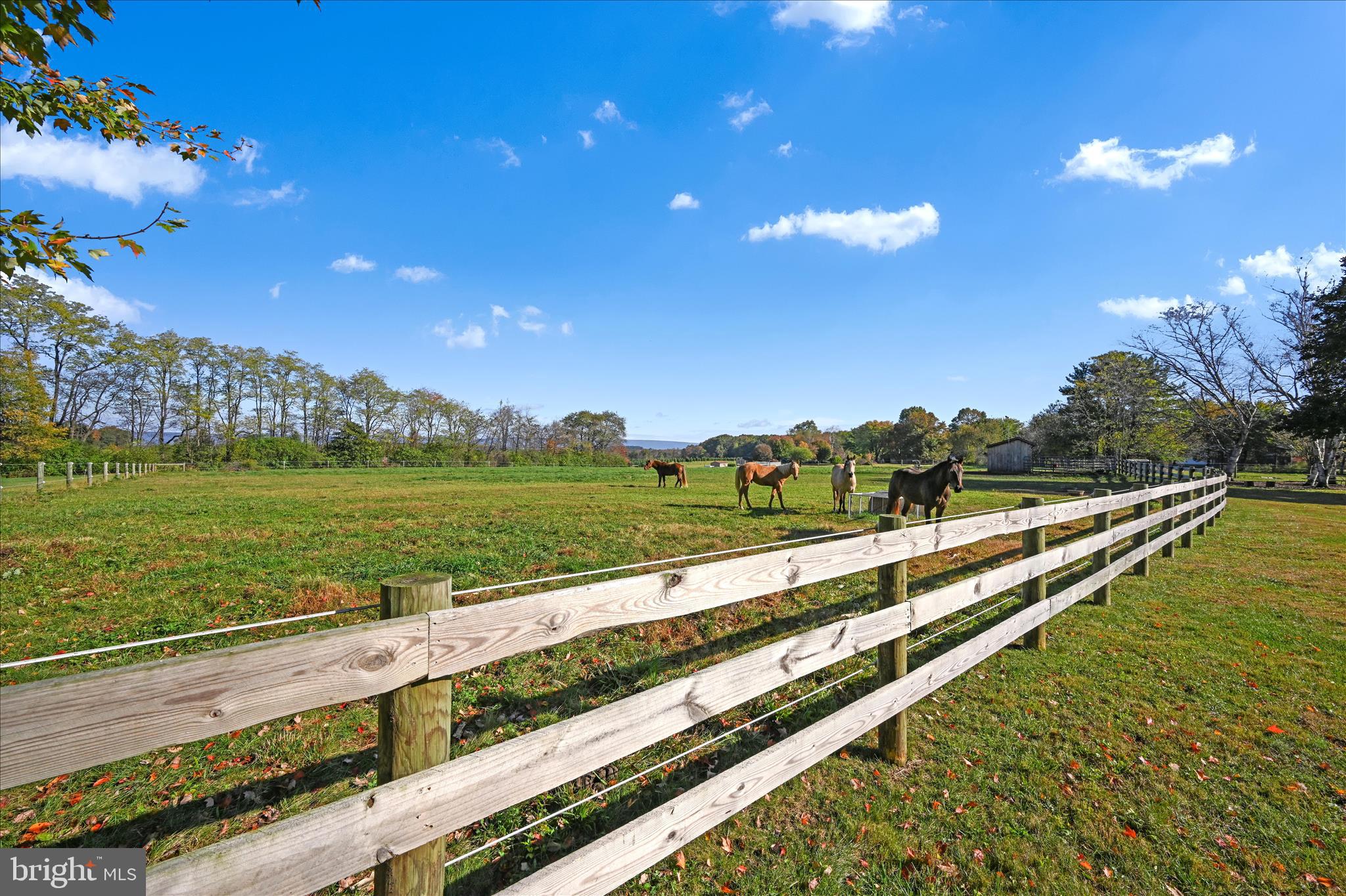 175 Strack Drive Myerstown, PA 17067 - Photo 37 of 52 a view of a city