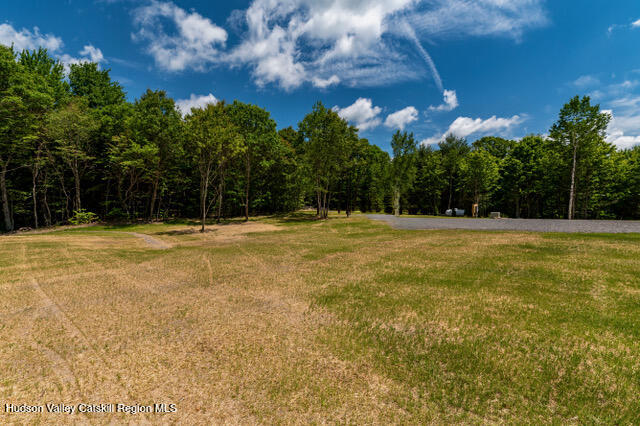 200 Donlan Heights Road Middleburgh, NY 12122 - Photo 9 of 32 200 donlan heights-19
