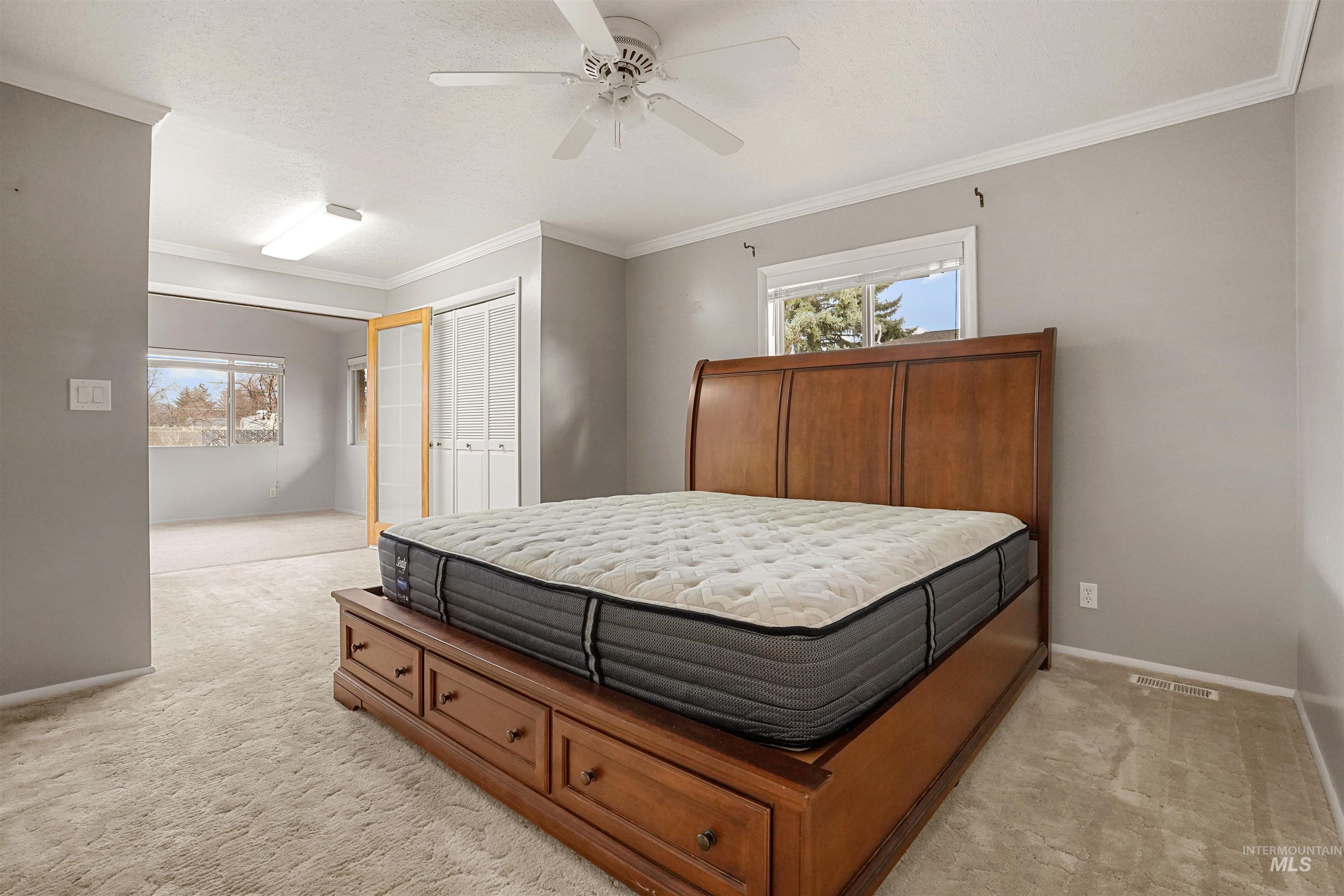206 Pleasant Way Rupert, ID 83350 - Photo 20 of 33 Bedroom with light colored carpet, ornamental molding, a closet, a ceiling fan, and multiple windows