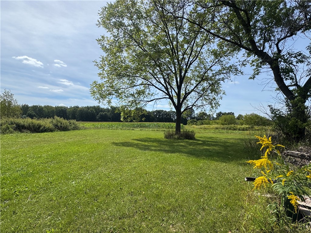 344 Sheldon Road Farmington, NY 14425 - Photo 38 of 43 Gallery Image 38