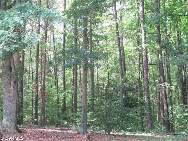 2940 Cherokee Road Richmond, VA 23225 - Photo 1 of 3 View