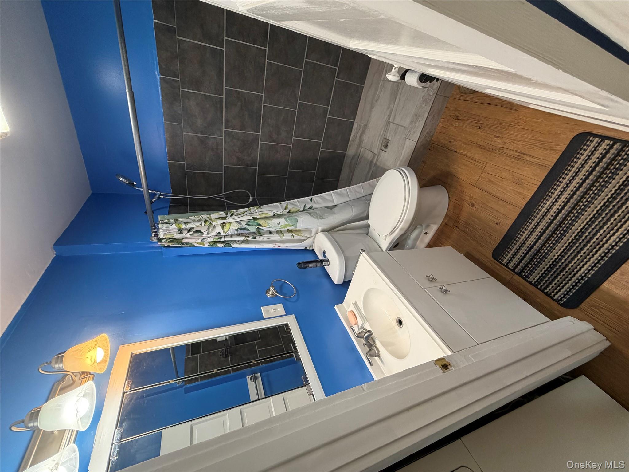 216 Old Rte 22 Wassaic, NY 12592 - Photo 4 of 11 a bathroom with a sink a toilet a mirror and shower