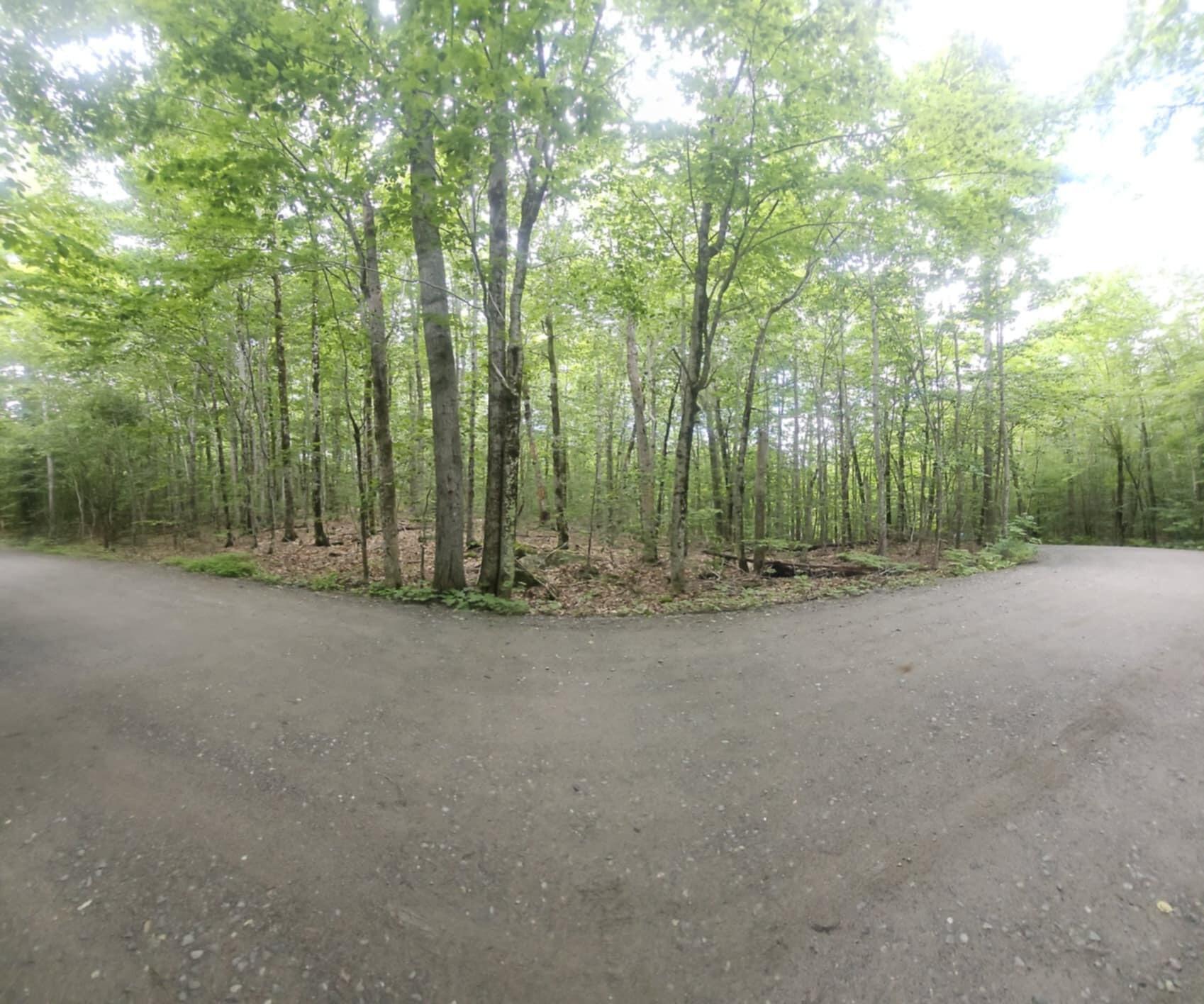 Lot 2 Woodard Road Augusta, ME 04330 - Photo 4 of 5 c89df3b6-2d96-4bef-adb6-e584ce5d525c