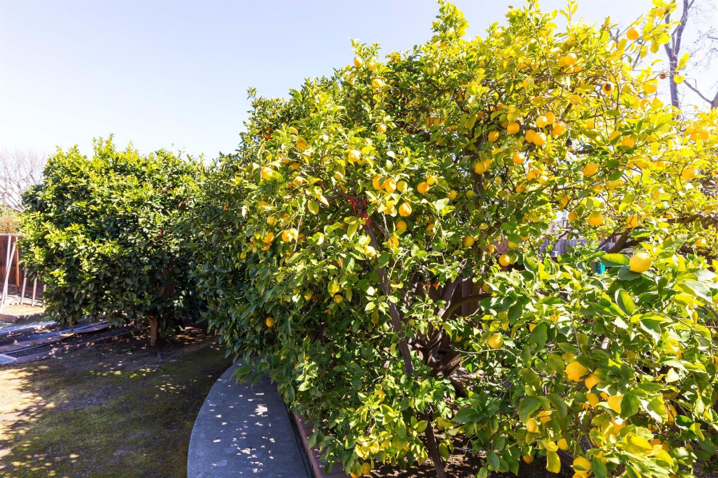 1270 Covington Road Los Altos, CA 94024 - Photo 25 of 27 Gallery Image 25