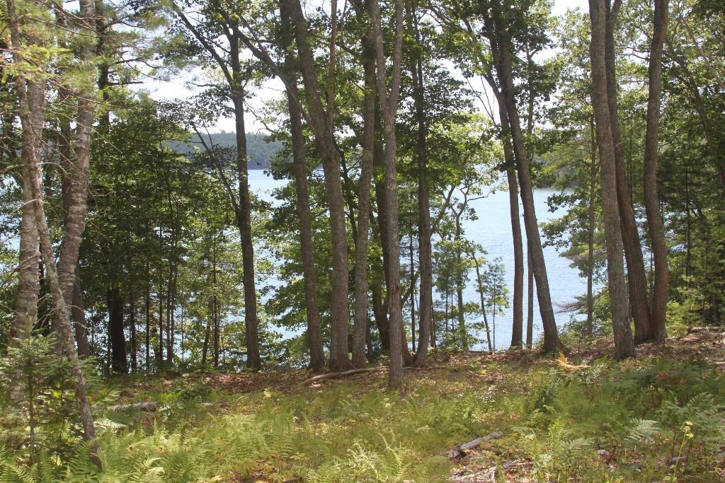 0 Emerson Farm Road Edgecomb, ME 04556 - Photo 6 of 21 Photo
