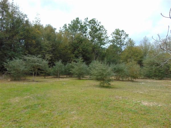 151 John White Road DeFuniak Springs, FL 32435 - Photo 31 of 38 Lot (1)