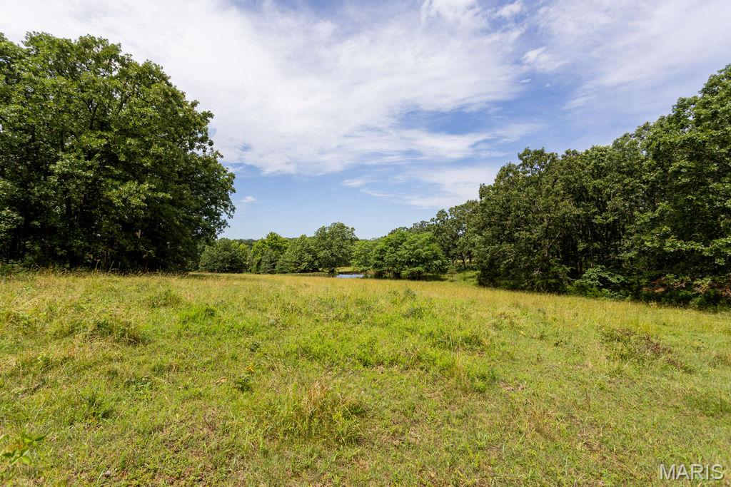 30-ac South 220th Road Half Way, MO 65663 - Photo 11 of 49