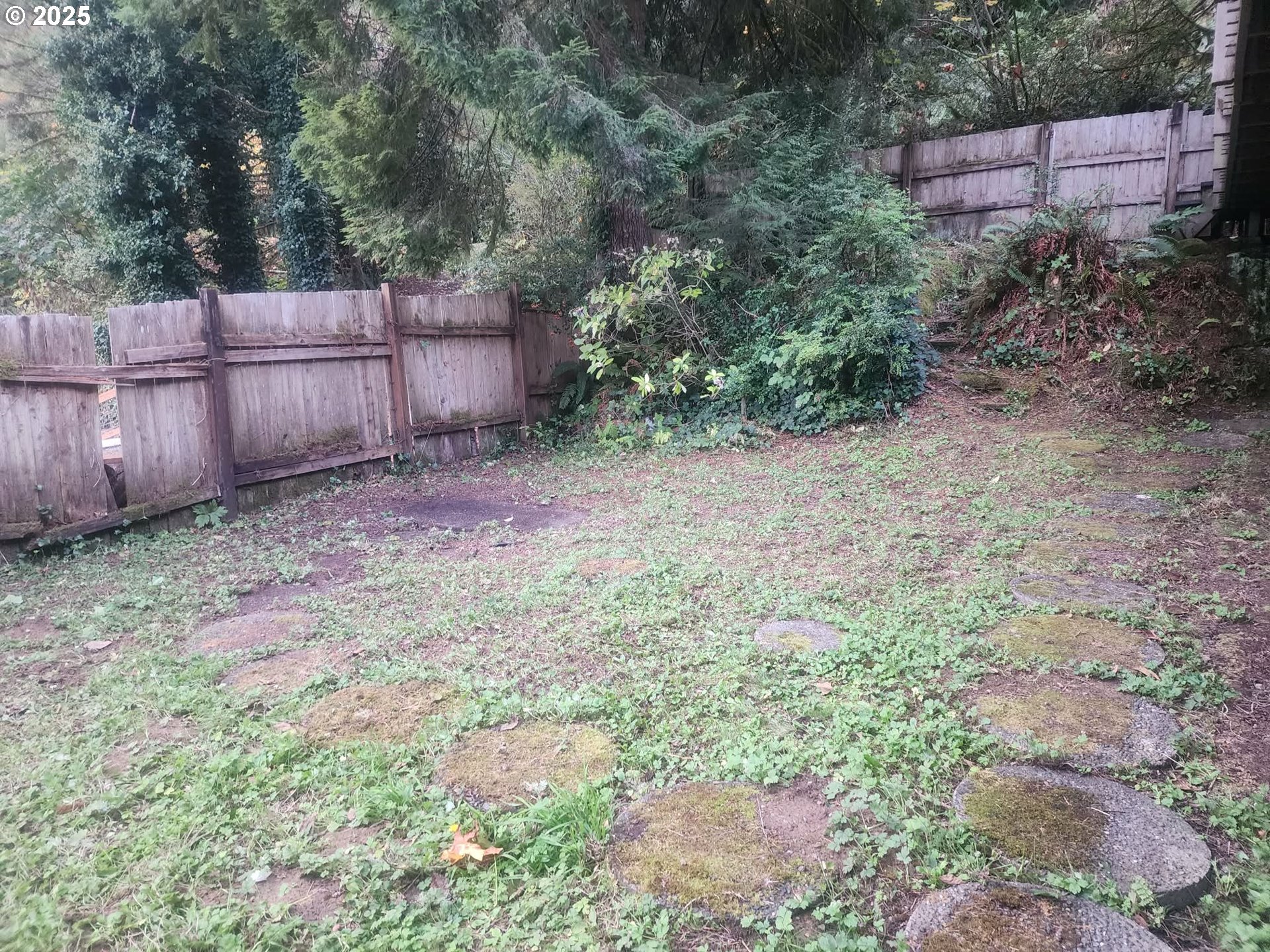 763 North Tenmile Lakeside, OR 97449 - Photo 45 of 47 a backyard of a house with lots of plants and covered with tall trees