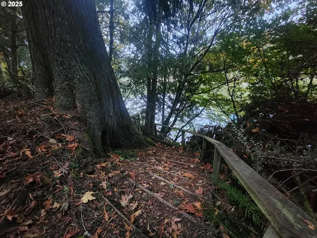 a view of a tree with wooden fence