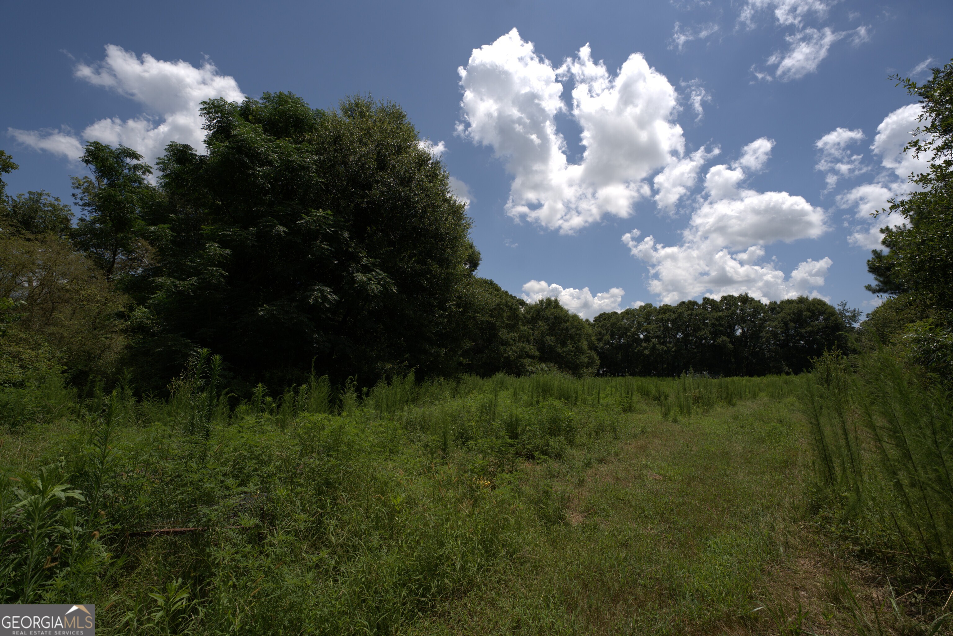 2170 Fork Creek Road Bowman, GA 30624 - Photo 21 of 58 Gallery Image 21