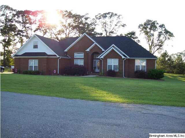55 County Road 862 Clanton, AL 35045 - Photo 2 of 32