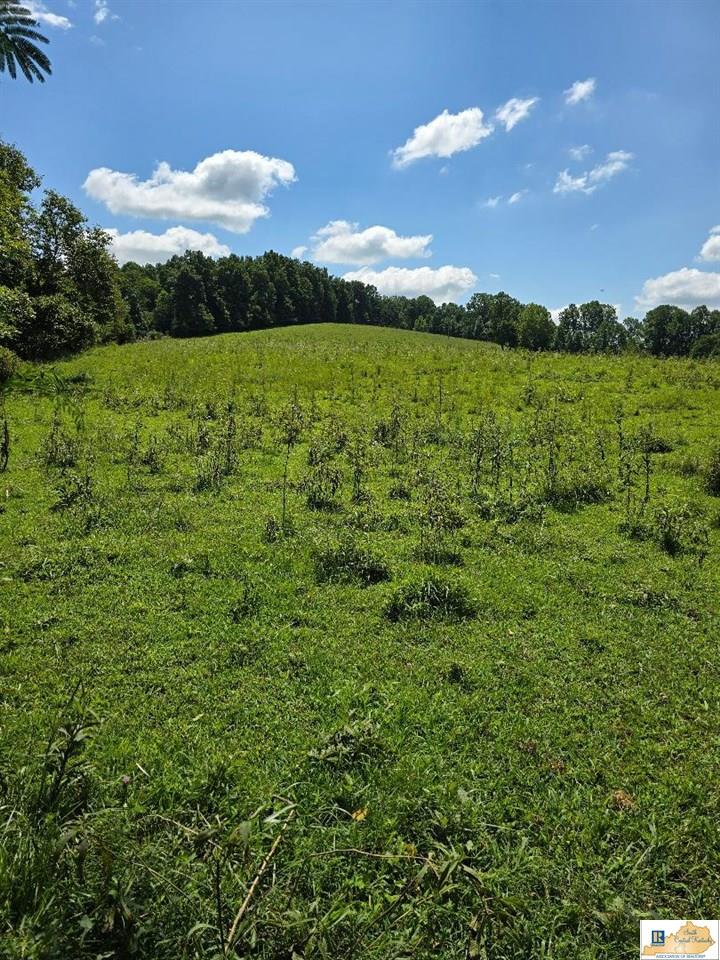 690 Grassy Springs Road Columbia, KY 42728 - Photo 1 of 1 Gallery Image 1