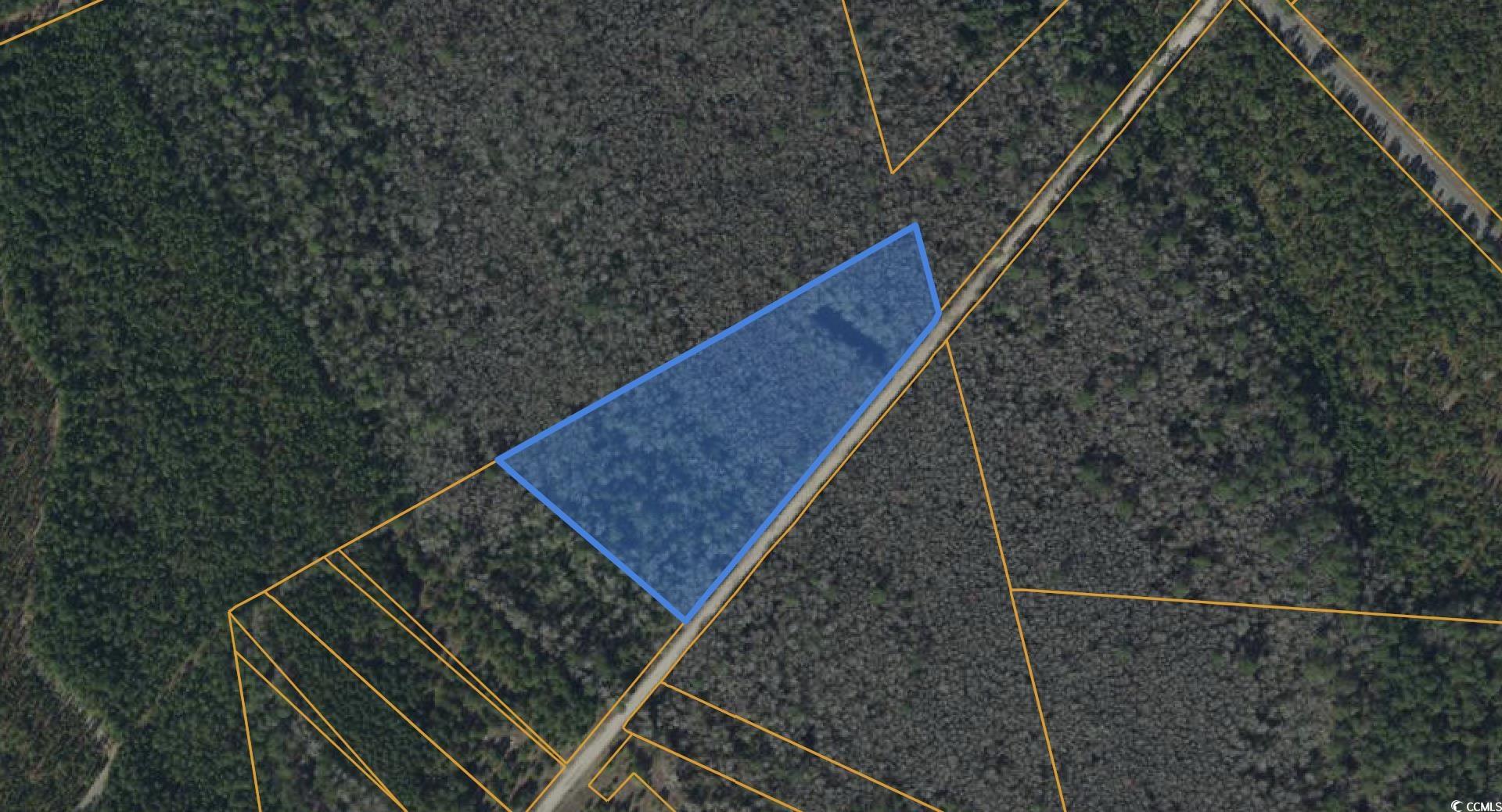 Tbd Wolf Pit Bay Road Nichols, SC 29581 - Photo 8 of 9