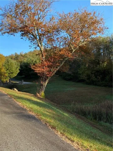 a view of a yard in front of the house