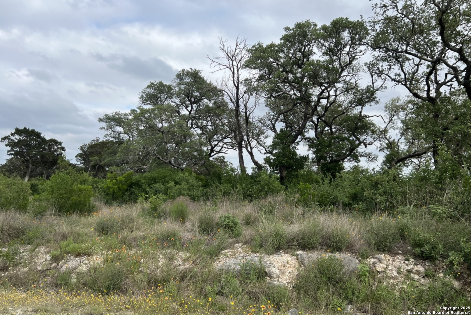 Tbd Pr 2771 Mico, TX 78056 - Photo 4 of 5 a view of a lake with green space