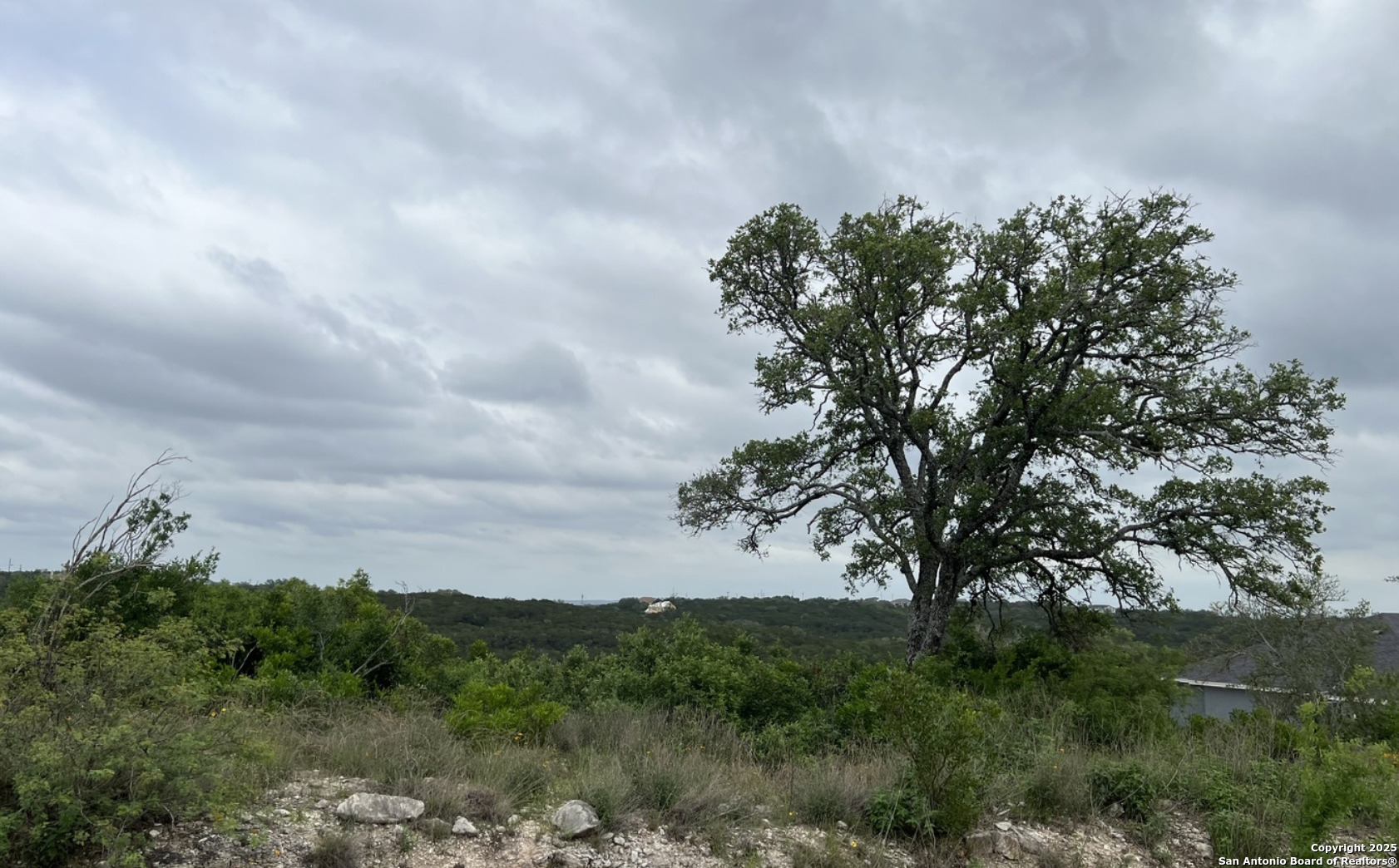 Tbd Pr 2771 Mico, TX 78056 - Photo 5 of 5 a backyard of a house with lots of green space
