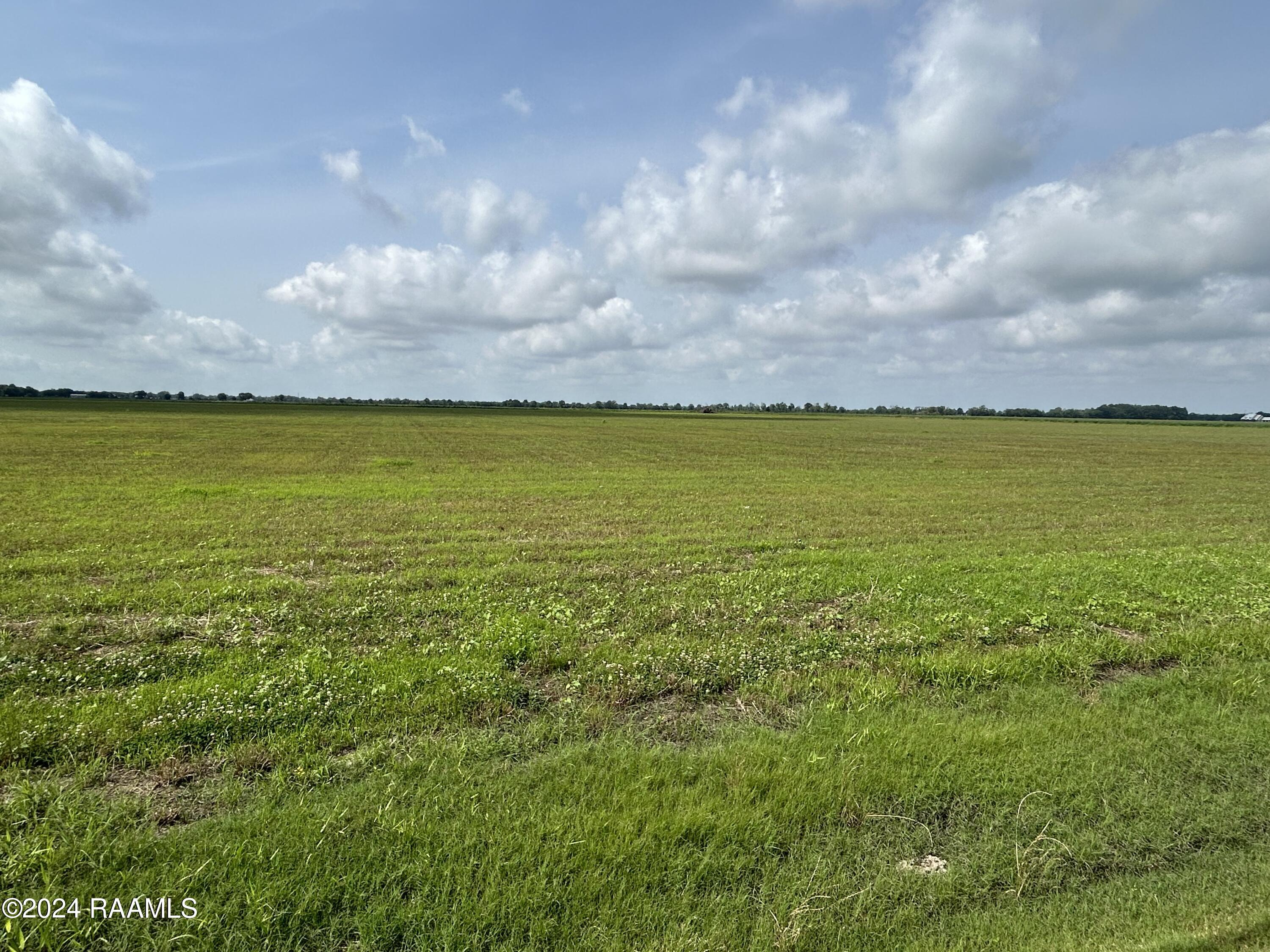1401 Sellers Road, Unit LOT 10 Rayne, LA 70578 - Photo 2 of 7 IMG_1198
