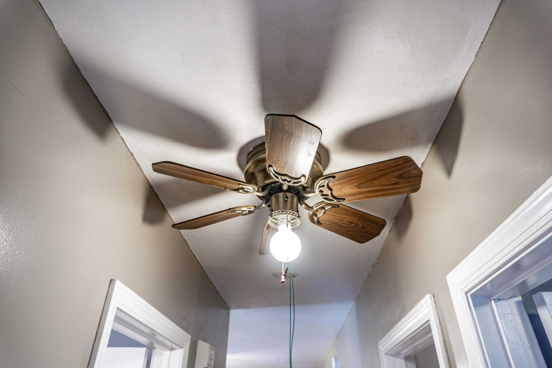 946 John Bird Road Afton, TN 37616 - Photo 20 of 80 946JohnBirdA_049