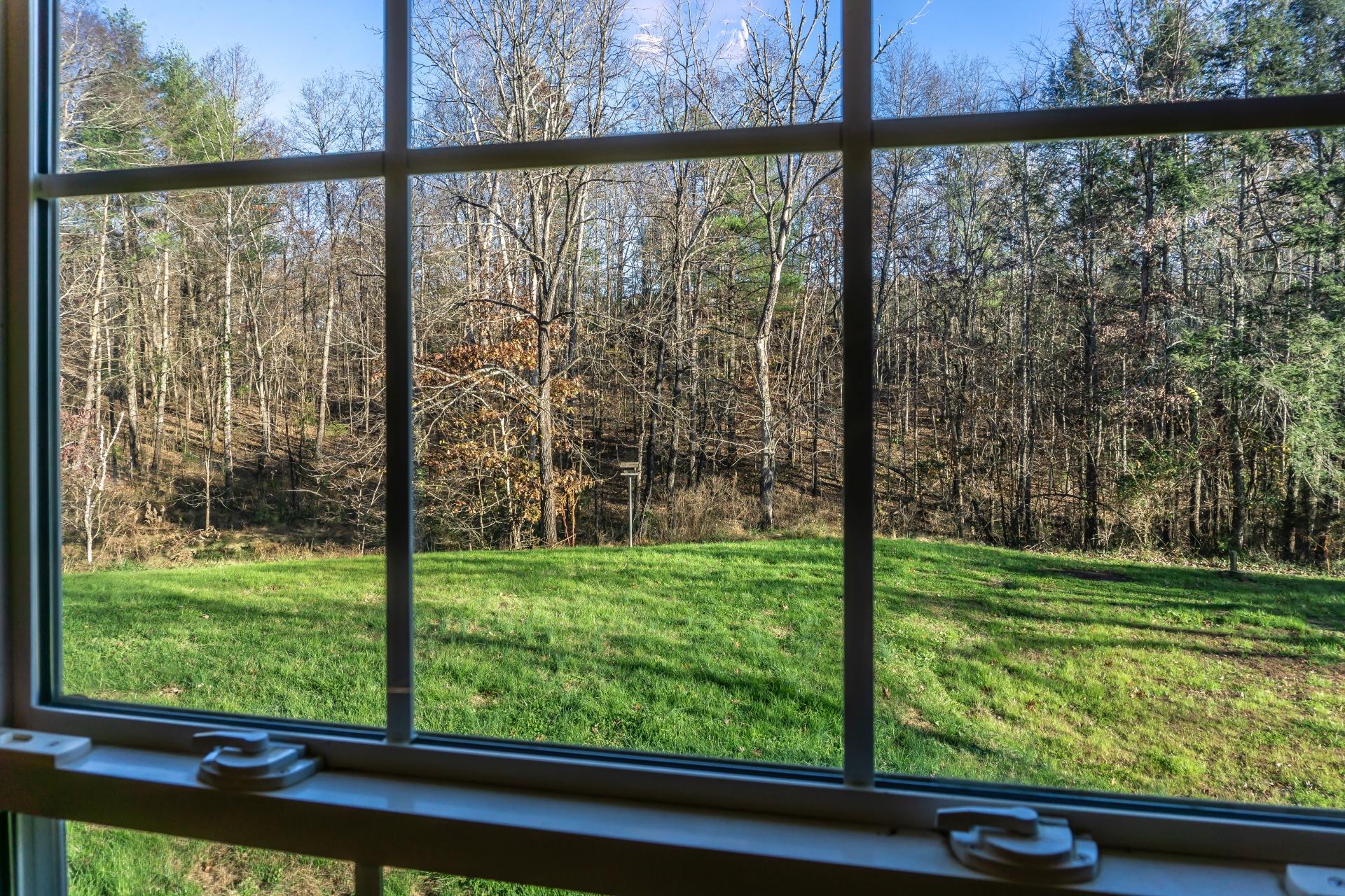 946 John Bird Road Afton, TN 37616 - Photo 35 of 80 946JohnBirdA_039