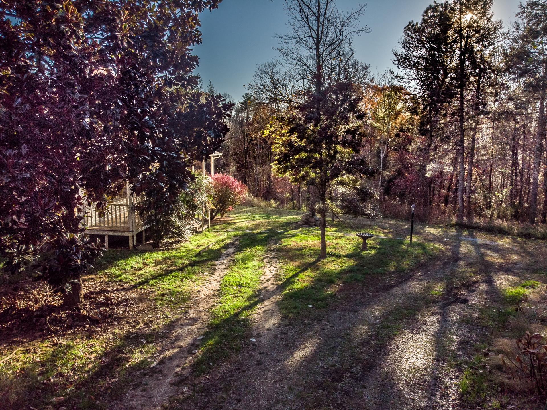 946 John Bird Road Afton, TN 37616 - Photo 44 of 80 946JohnBirdA_097