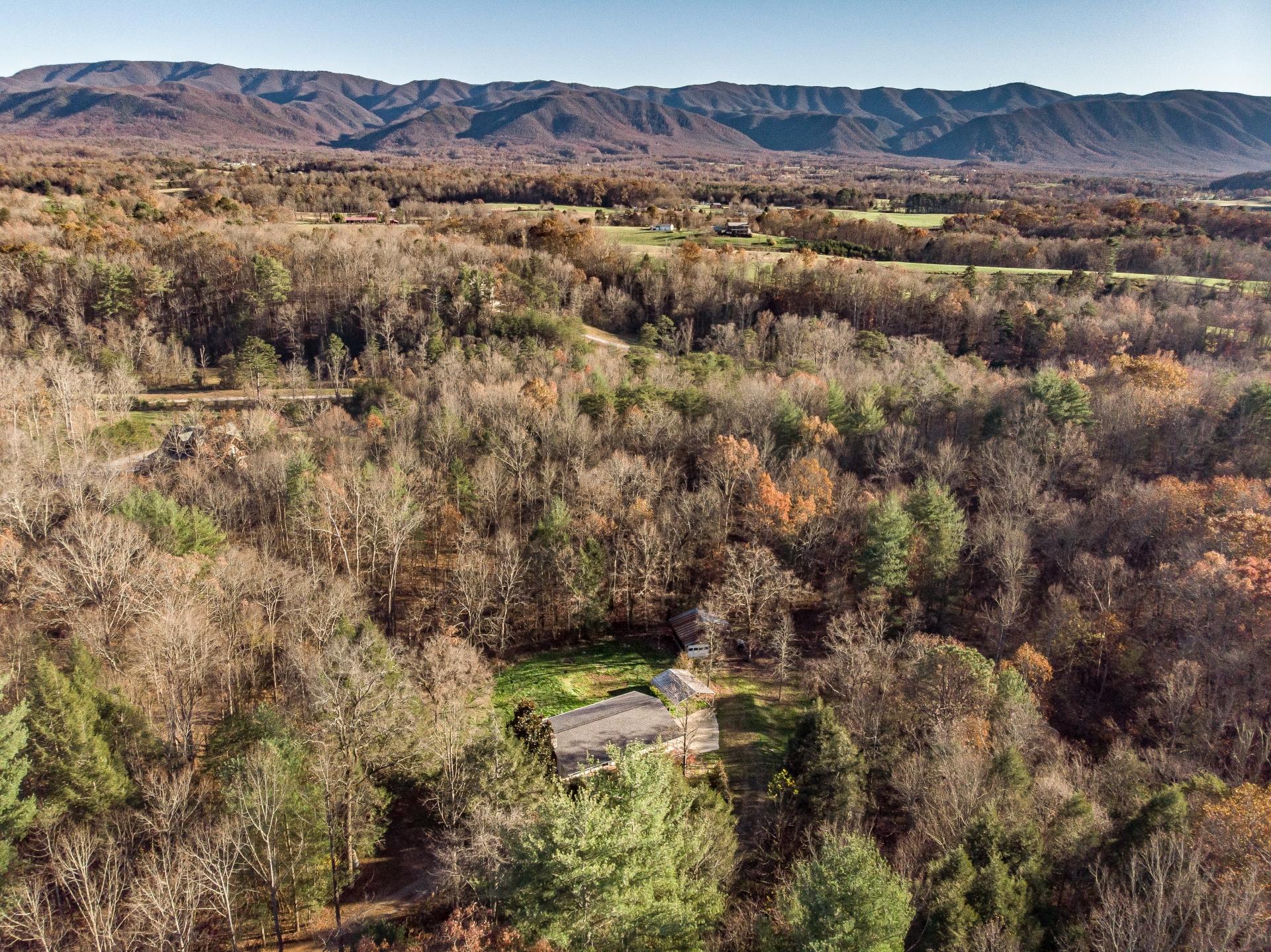 946 John Bird Road Afton, TN 37616 - Photo 53 of 80 946JohnBirdA_087